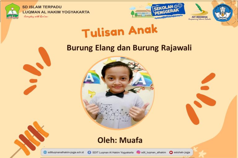 Read more about the article Burung Elang dan Burung Rajawali